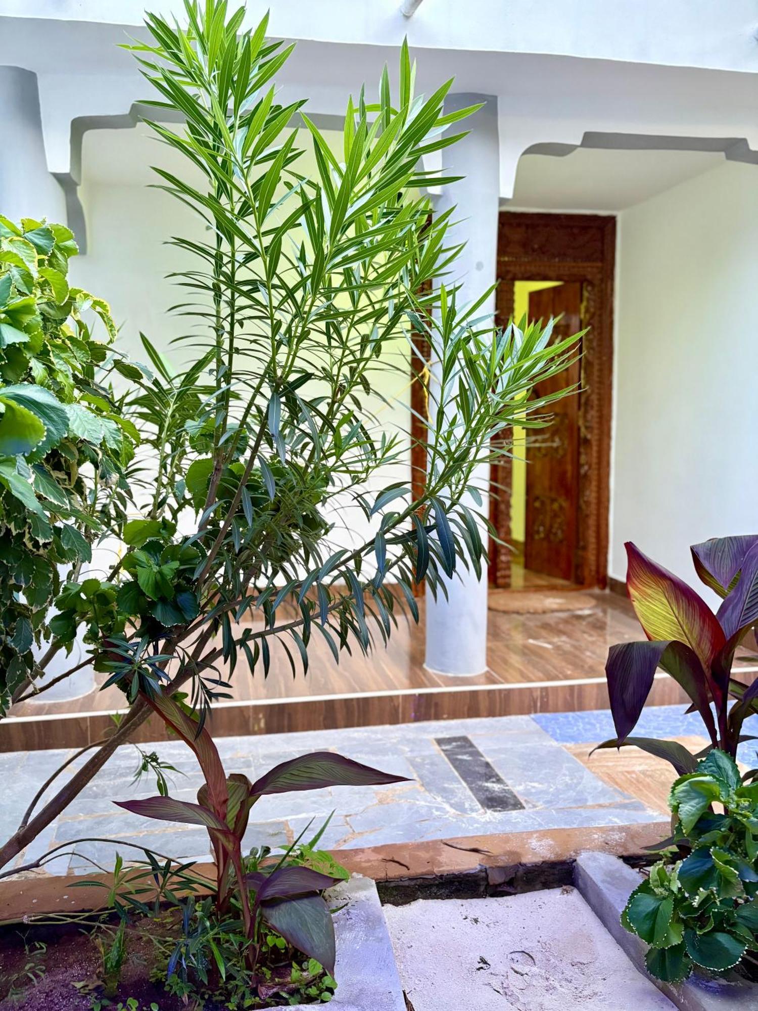Bed & Breakfast Paradise
